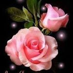 Profile Picture of Audrey Gladden (@audreygadden) on Instagram