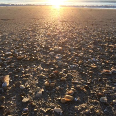 Profile Picture of Jim Hulings (@jmhulings) on Twitter