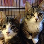 Profile Picture of Joseph Leotta (@josephmleotta) on Instagram