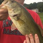Profile Picture of Caleb Fraley And Sam Vance (@wv_fish_and_tackle) on Instagram
