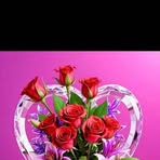 Profile Picture of Jacqeuline Keima (@Jacqeuline-Keima) on Facebook