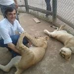 Gerardo Daniel Longoni Krilich - Instagram Profile Picture of Gerardo Daniel Longoni Krilich (@longonikrilich) on Instagram