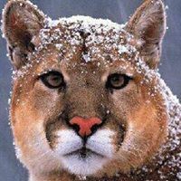 Profile Picture of Miranda Blanco (@miranda-blanco) on Quora