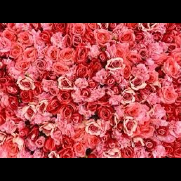 Profile Picture of Maged Ali (@magd1950) on Poshmark