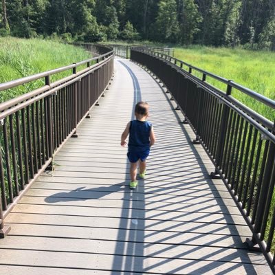 Profile Picture of Steve (@SteveZim16) on Twitter