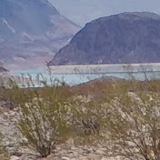 Profile Picture of Frank Ramirez (@frankramirez6601) on Youtube