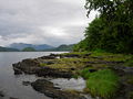 Profile Picture of Tongass National Foreston Wikipedia