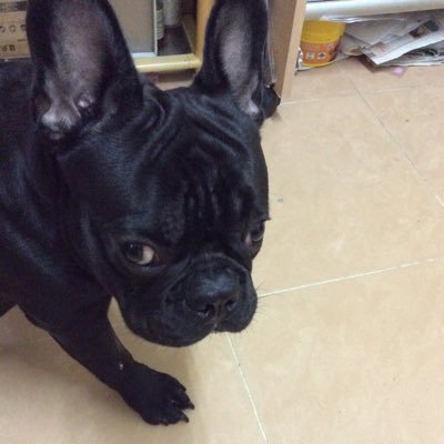 Profile Picture of Aaron_kwong (@Aaronkwong7) on Twitter