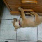 Justin McCutcheon - Instagram Profile Picture of Justin McCutcheon (@justinmccu22) on Instagram