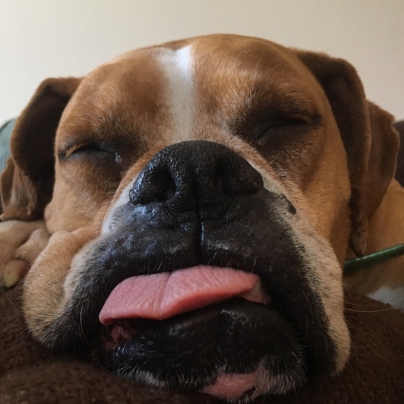 Profile Picture of Matthew Boester (@meboester) on Poshmark