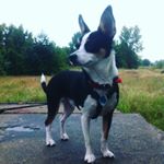 Profile Picture of Leon stumpfeldt (@lst1801) on Instagram