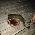 Profile Picture of Tyler Ramey (@tyler.ramey.39142) on Instagram