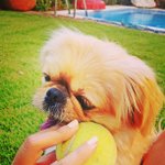 Profile Picture of Tammy Reimer (@schooleyfa) on Instagram