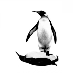 Profile Picture of Bob Needleman (@ndpadvertising) on Myspace