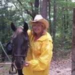 Profile Picture of Judith A York (@cowgirljy2003) on Instagram