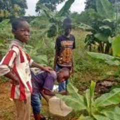 Profile Picture of Buba Sanneh (@Bubasanneh18) on Twitter