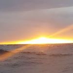 Profile Picture of Renee Weiss (@weiss9505) on Instagram