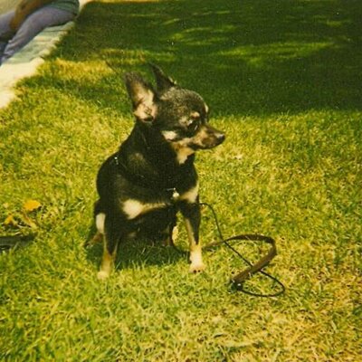 Profile Picture of Jorge Hidalgo Reyes (@JorgeHidalgoRey) on Twitter