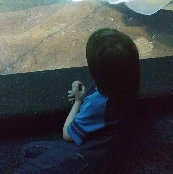 Profile Picture of Scott Hamilton (@wyldefan2009) on Poshmark