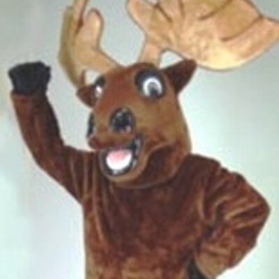 Profile Picture of Earl Summers (@MooseEarl) on Twitter
