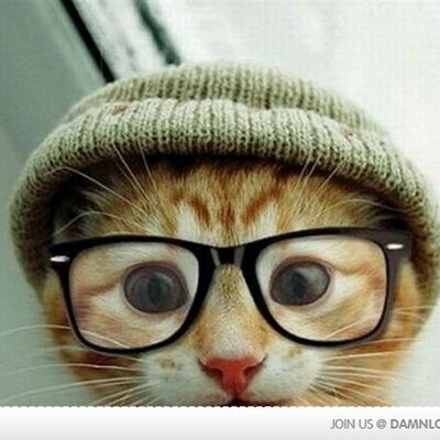 Profile Picture of Pete Torrez (@TorrezPete) on Twitter