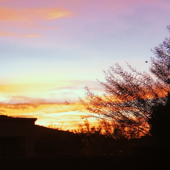 Profile Picture of Gailynn Garberding (@cassidy_garb) on Poshmark