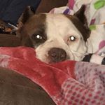 Profile Picture of Shawna Terry & Kaylee Adkins (@supermegaoof101) on Instagram