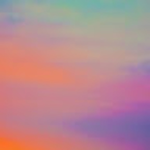 Profile Picture of Emilie Pharmer (@emiliepharmer) on Poshmark