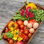 Profile Picture of Joan Gunther (@joanies_backyard) on Instagram