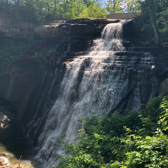 Profile Picture of Danielle Fatigati (@dani_renee579) on Poshmark