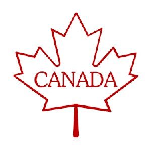 Profile Picture of Stephen Peck (@speck727233) on Twitter