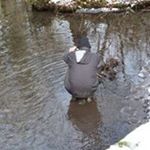 Profile Picture of Andrew Denley (@denleyandrew) on Instagram