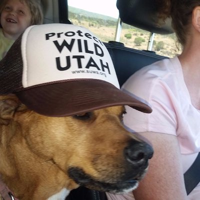 Profile Picture of Dustin Hughes (@dustin_hughes) on Twitter