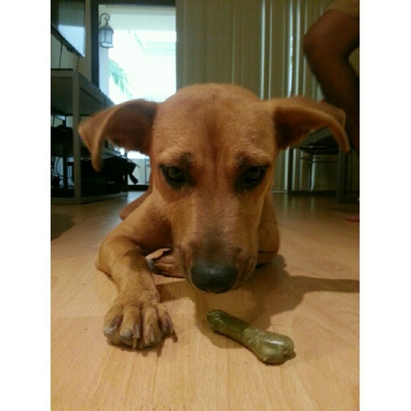 Profile Picture of Eric Bae (@ebae1222) on Poshmark