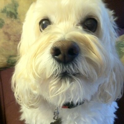 Profile Picture of Jess Bragg (@bragadosha) on Twitter