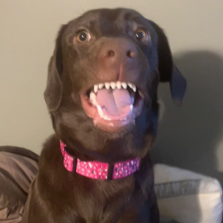 Profile Picture of Adem.Stener (@adam.stener) on Tiktok