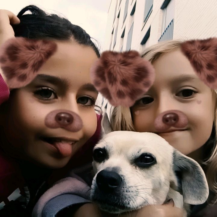 Profile Picture of thomaszprus (@thomaszprus) on Tiktok