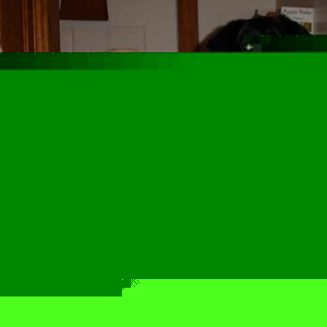 Profile Picture of Mary Lou Heller (@bigloulou06) on Myspace