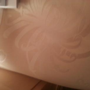 Profile Picture of Michaela Bradley (@kaylaspecialk) on Twitter