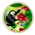 Profile Picture of Zeynu Mohammed (@ahimed.haji.5) on Facebook