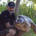 Profile Picture of Steve Bardens (@bardo_wot) on Instagram