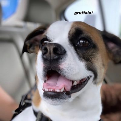 Profile Picture of Chris Mannarino (@Cristiano__02) on Twitter