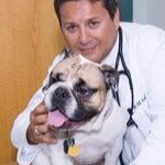 Profile Picture of Tom LoBasso (@DrTomLoBasso) on Twitter