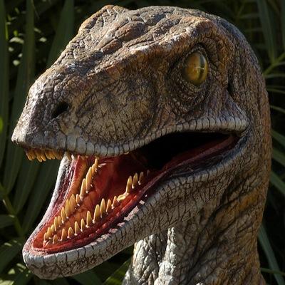 Profile Picture of Carl Velocir Apter (@Carl24862) on Twitter