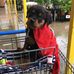 Profile Picture of Chris Castillo (@chris.castillo.311056) on Facebook