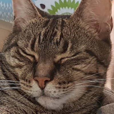 Profile Picture of Jasper :) 💖Thank You Richard💖 (@softmanjasper) on Twitter