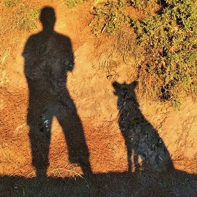 Profile Picture of Steve Parsley (@steveparsley) on Twitter