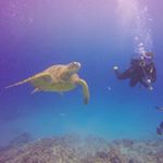Profile Picture of Jessica De La Torre (@menkennath) on Instagram