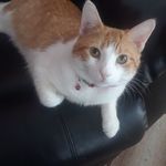 Profile Picture of Awilda Ramirez (@awilda.ramirez.3785) on Instagram