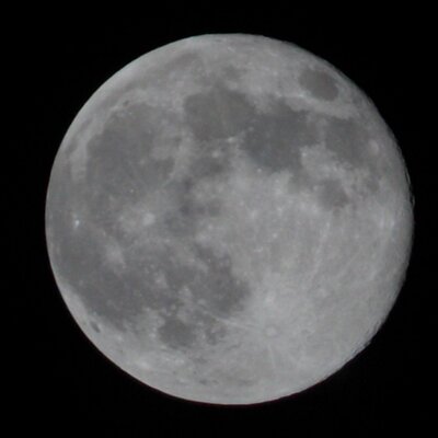 Profile Picture of Alice Briley (@alice_briley) on Twitter